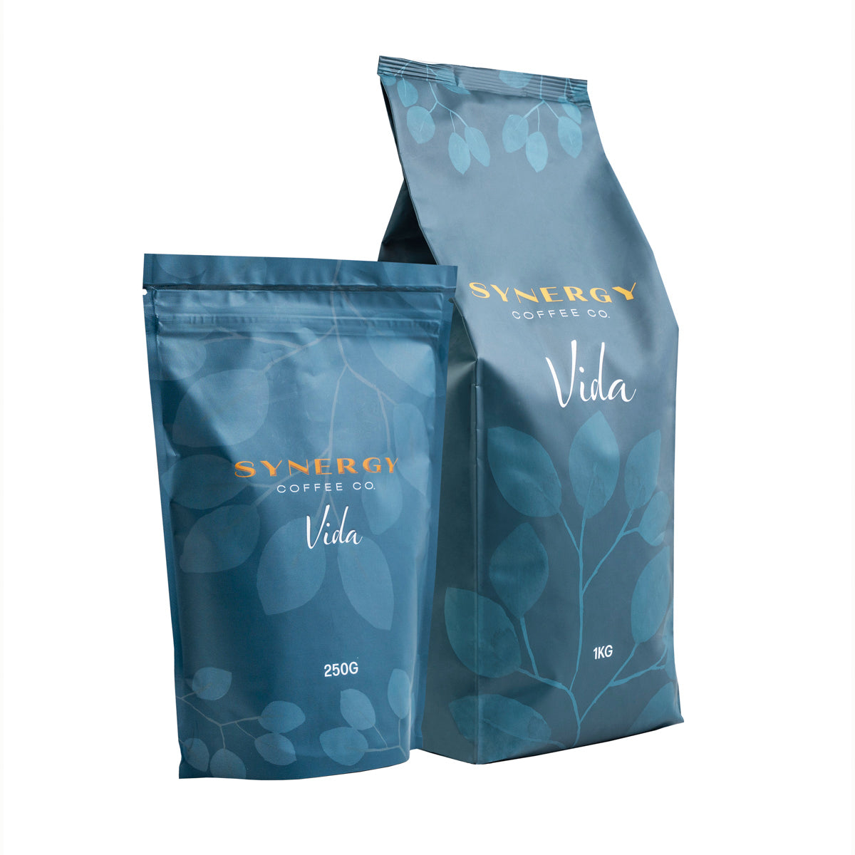 Vida group shot.jpg__PID:5642a3e4-cae4-4c0b-ad98-40e4317a3a73